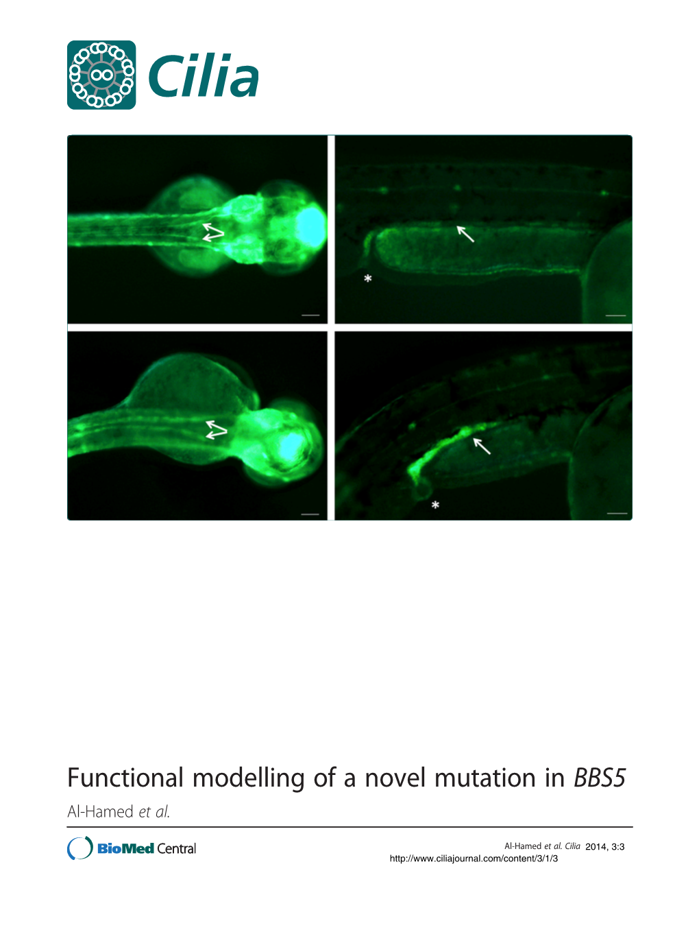Functional Modelling of a Novel Mutation in BBS5 Al-Hamed Et Al