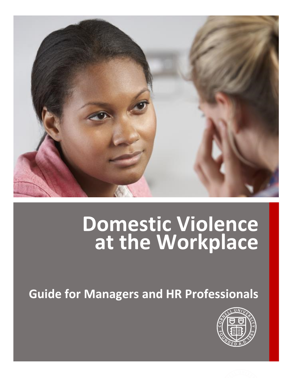 Guide to Domestic Violence at the Workplace