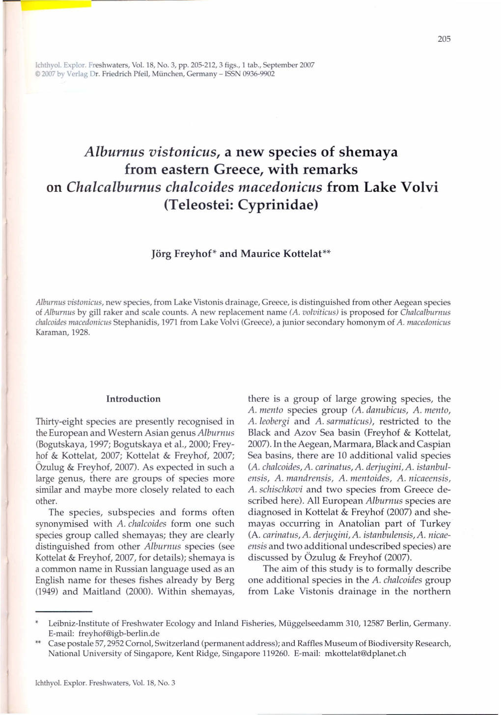 On Chalcalburnus Chalcoides Macedonicus from Lake Volvi (Teleostei: Cyprinidae)