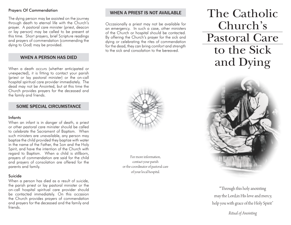 The Catholic Church's Pastoral Care to The