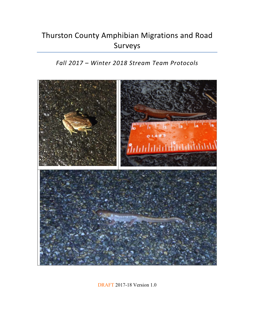 Thurston County Amphibian Migrations and Road Surveys