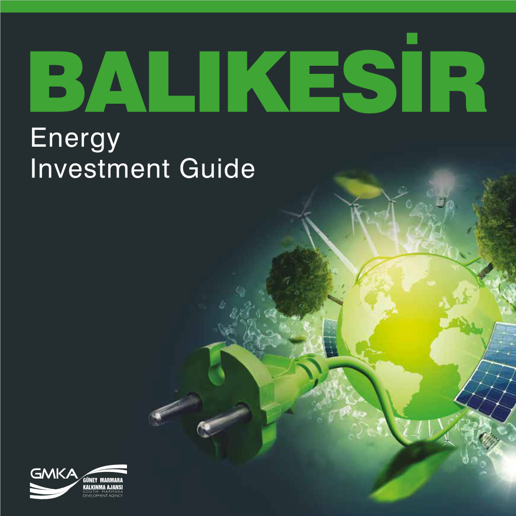 Energy Investment Guide Summary