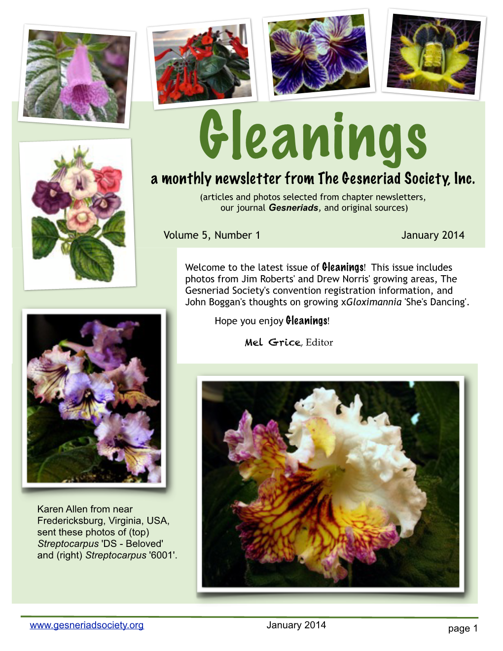 Gleanings a Monthly Newsletter from the Gesneriad Society, Inc