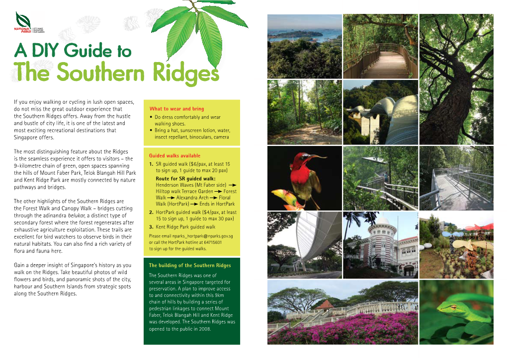 DIY Guide to the Southern Ridges