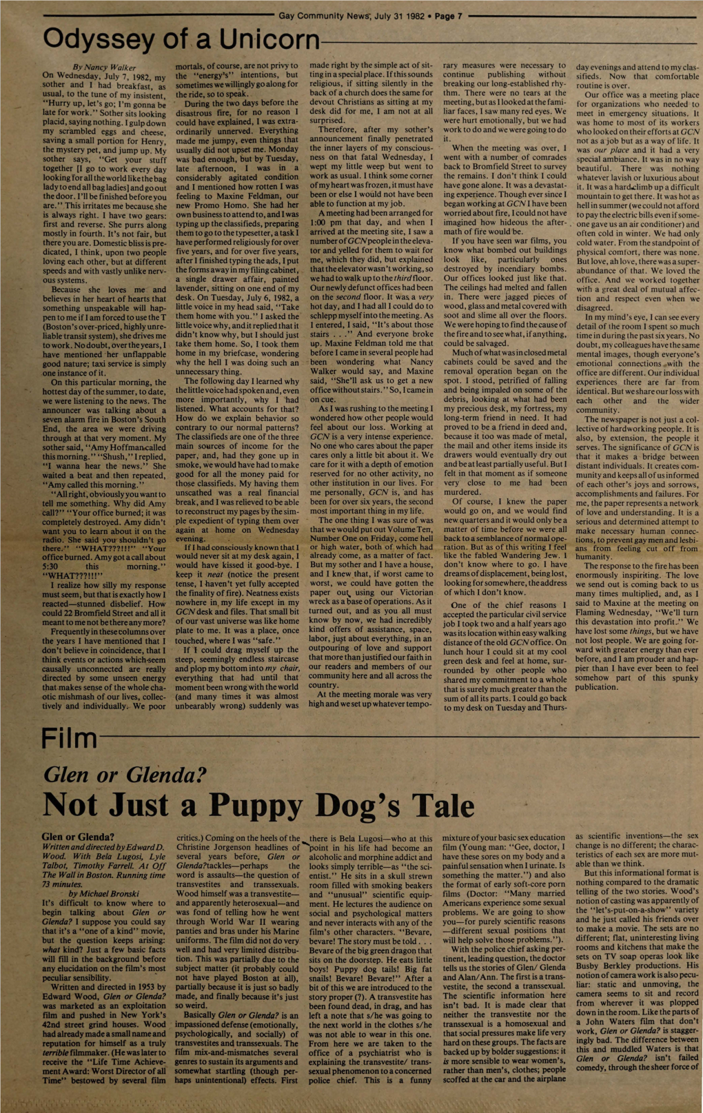 Gay Community News: July 31, 1982. Volume 10, Number 3