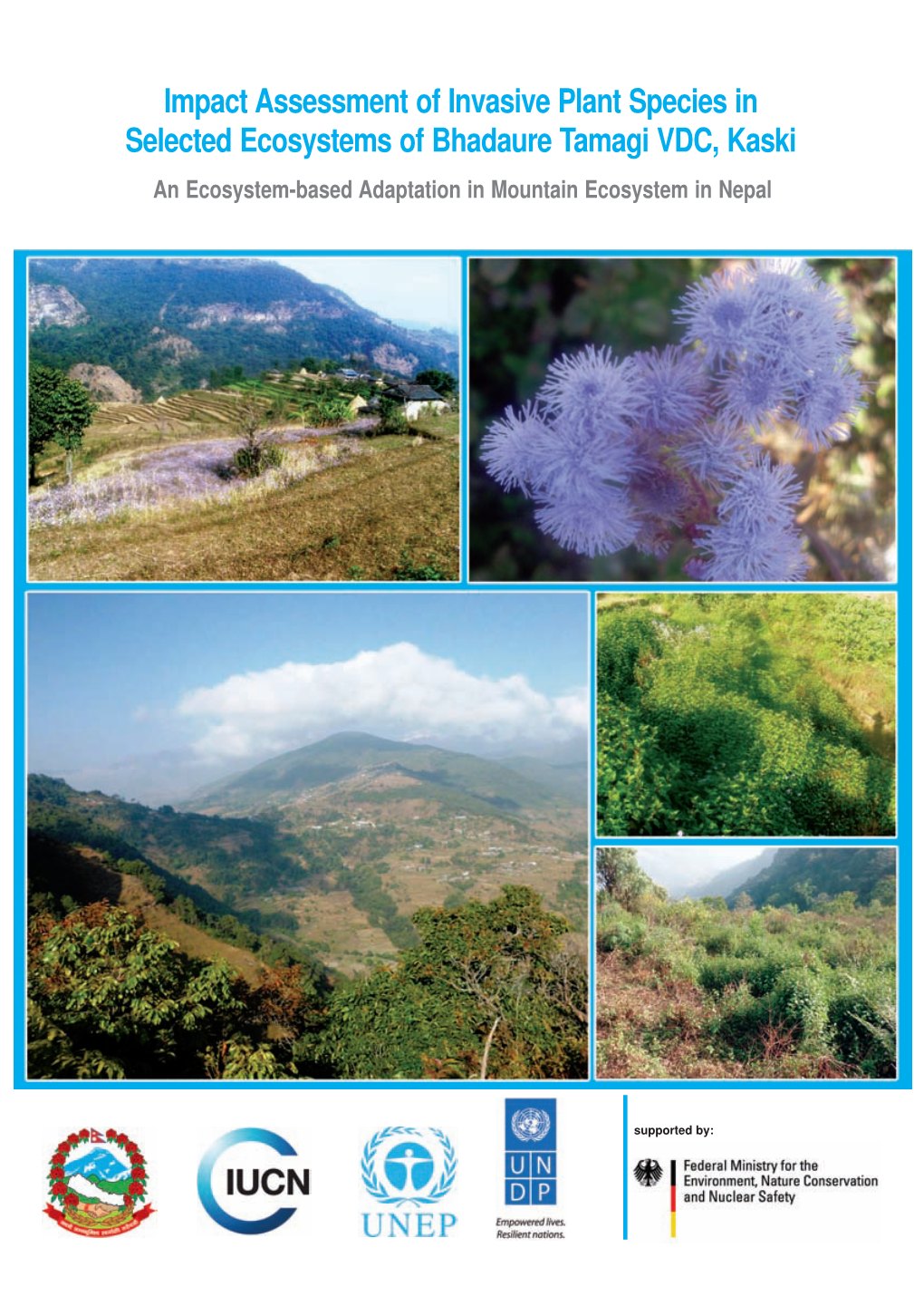 Impact Assessment of Invasive Plant Species in Selected Ecosystems of Bhadaure Tamagi VDC, Kaski an Ecosystem-Based Adaptation in Mountain Ecosystem in Nepal