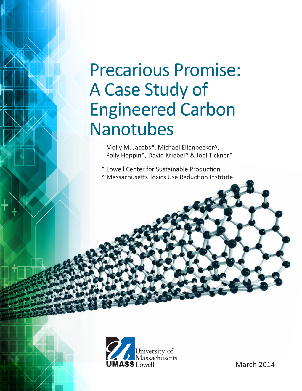 Precarious Promise: a Case Study of Engineered Carbon Nanotubes Molly M