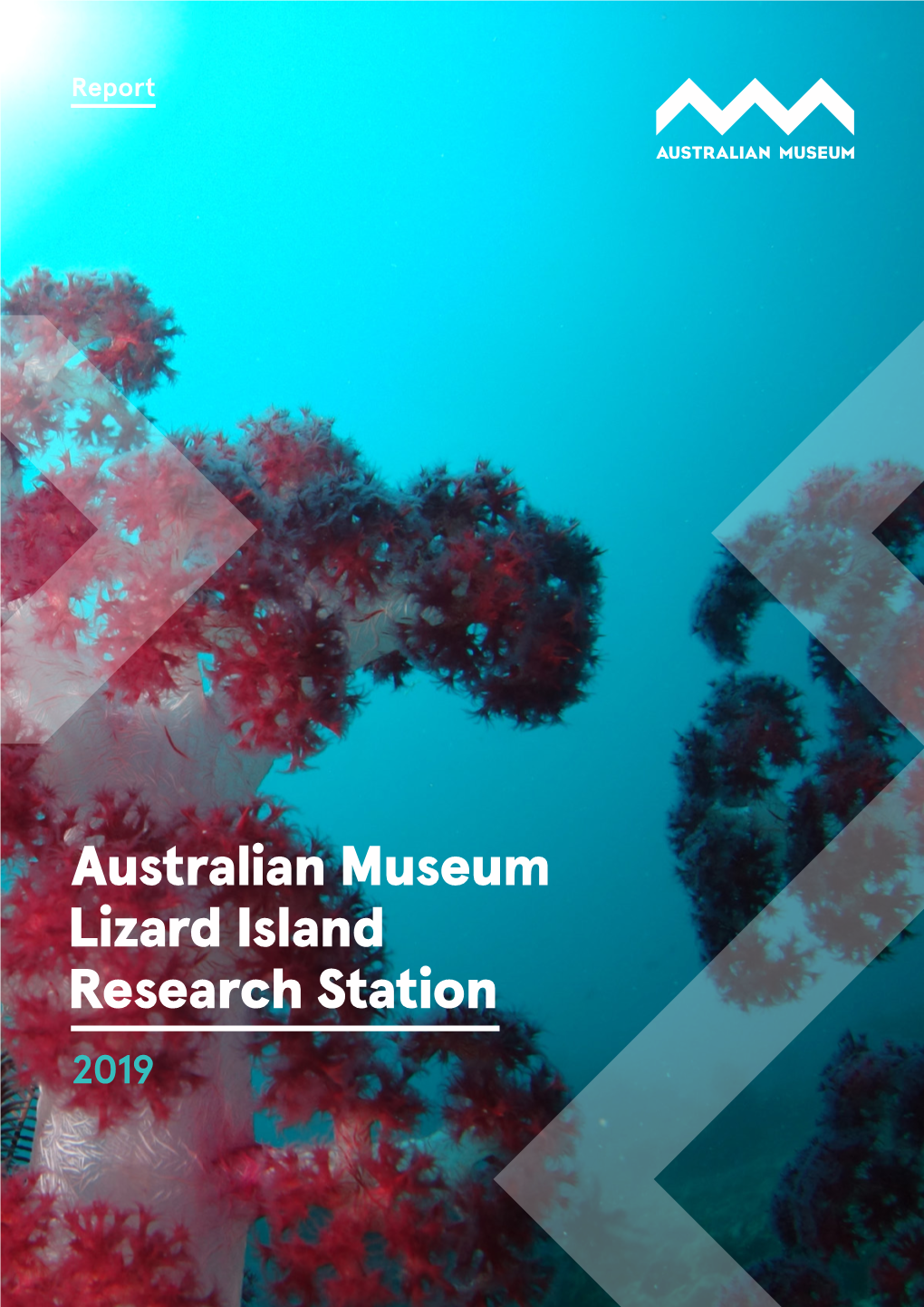 Australian Museum Lizard Island Research Station 2019 Lizard Island Research Station 2019 Report