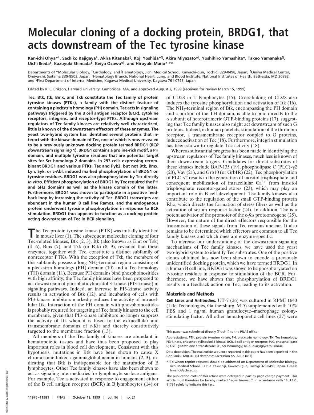 Molecular Cloning of a Docking Protein, BRDG1, That Acts Downstream of the Tec Tyrosine Kinase