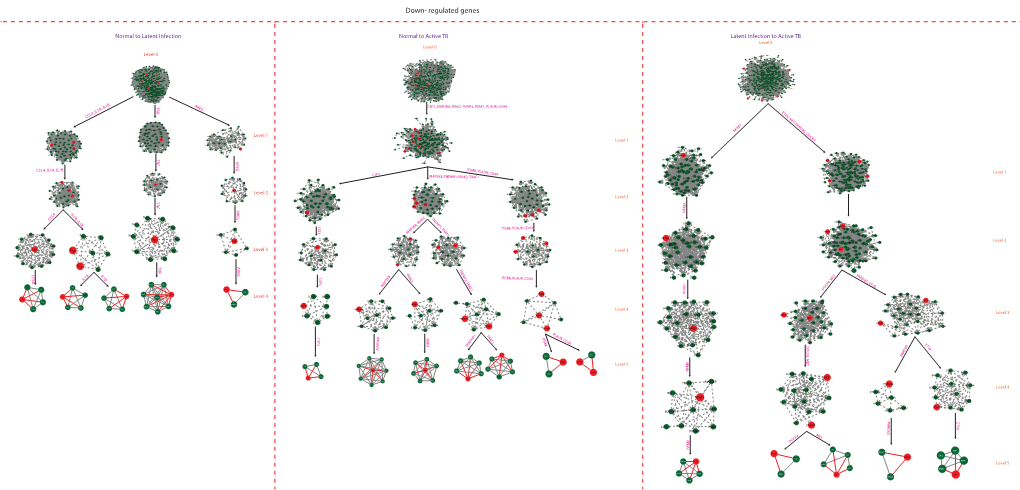 Regulated Genes