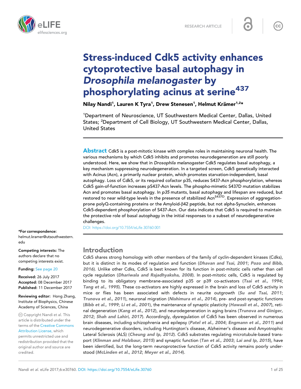 Stress-Induced Cdk5 Activity Enhances Cytoprotective Basal