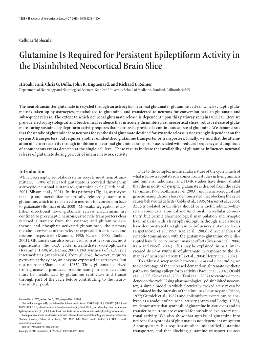 Glutamine Is Required for Persistent Epileptiform Activity in the Disinhibited Neocortical Brain Slice