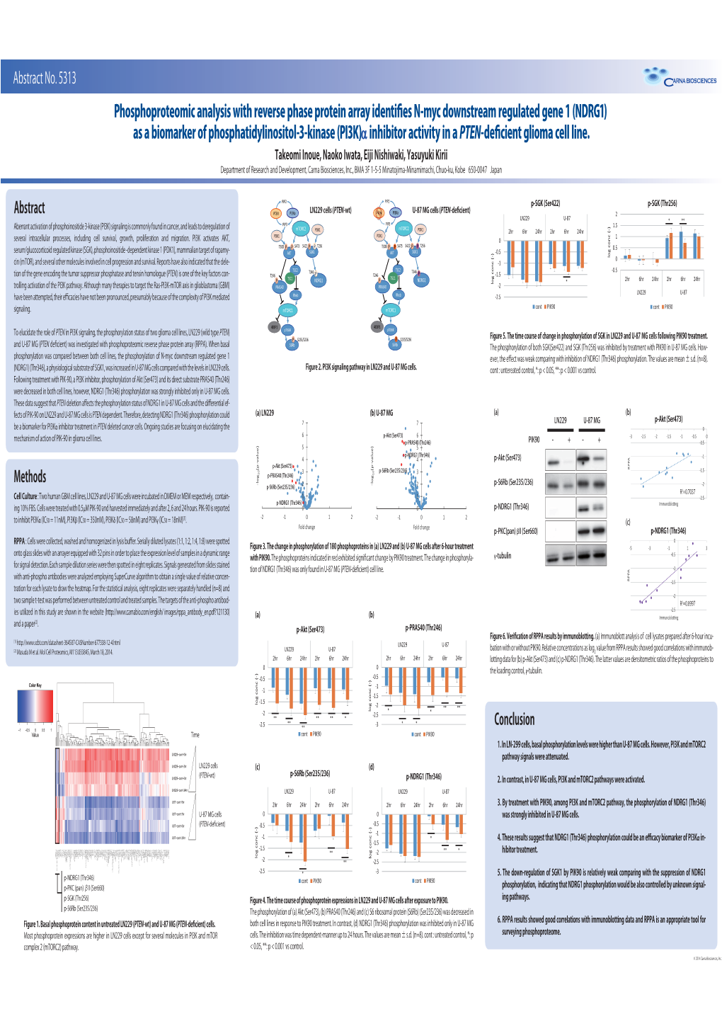 NDRG1) As a Biomarker of Phosphatidylinositol-3-Kinase (PI3K)  Inhibitor Activity in a PTEN-Deﬁcient Glioma Cell Line