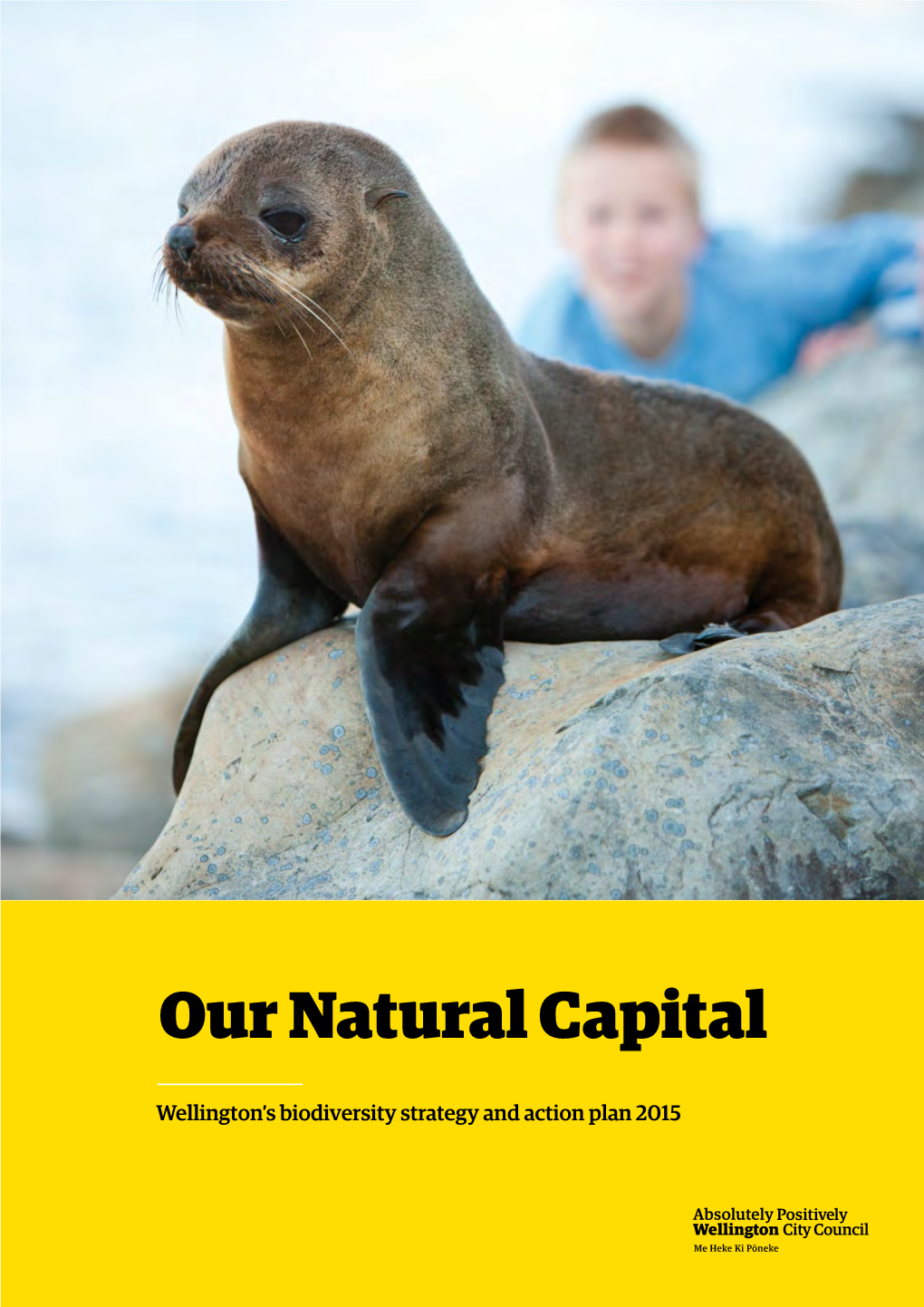 Our Natural Capital – Biodiversity Strategy and Action Plan 2015