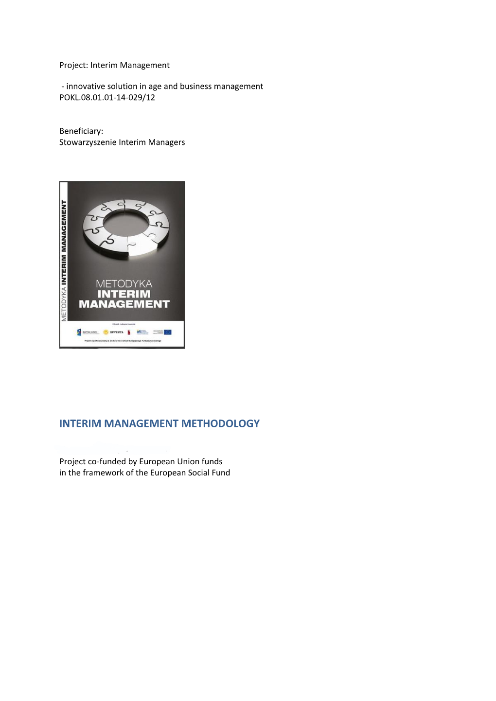 Interim Management Methodology