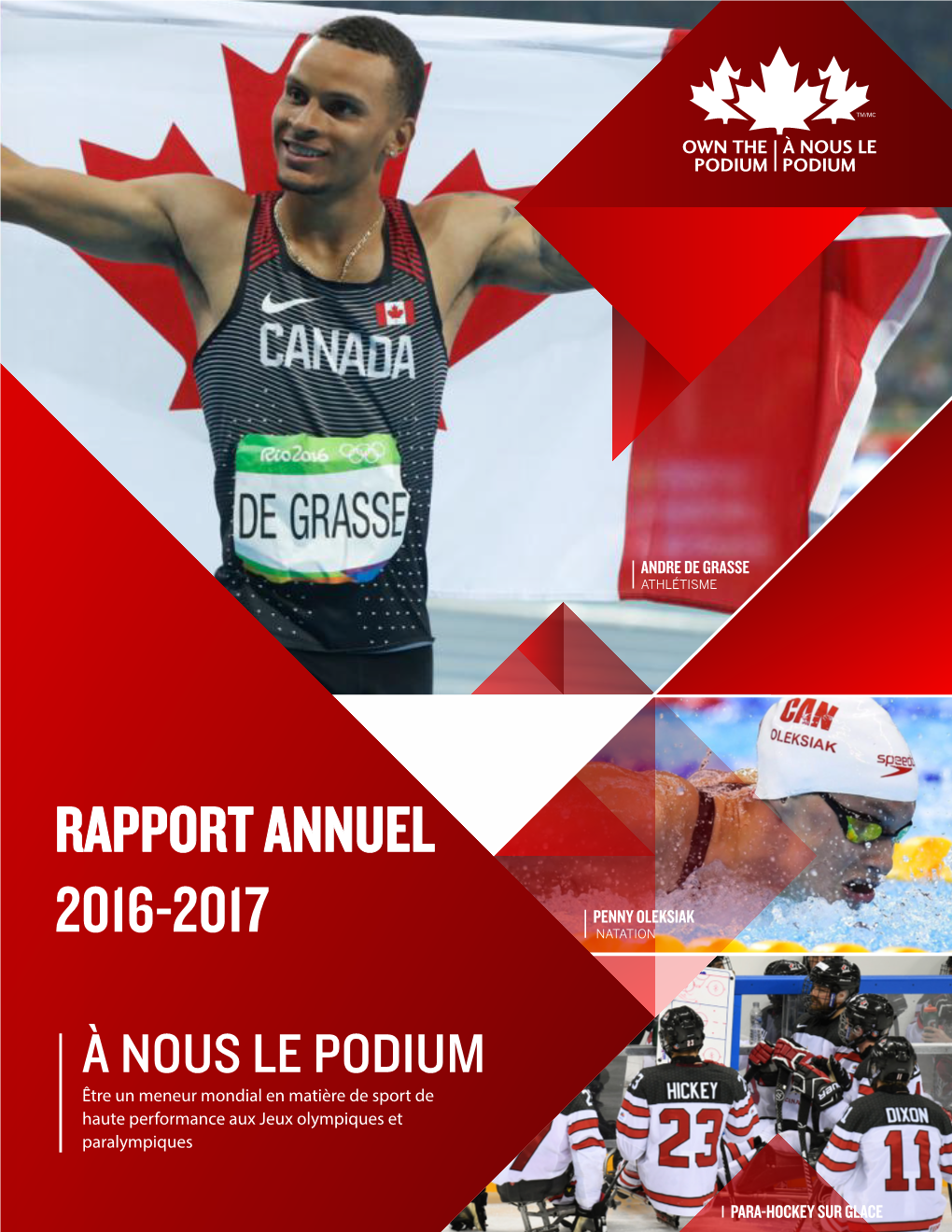 Rapport Annuel 2016-2017