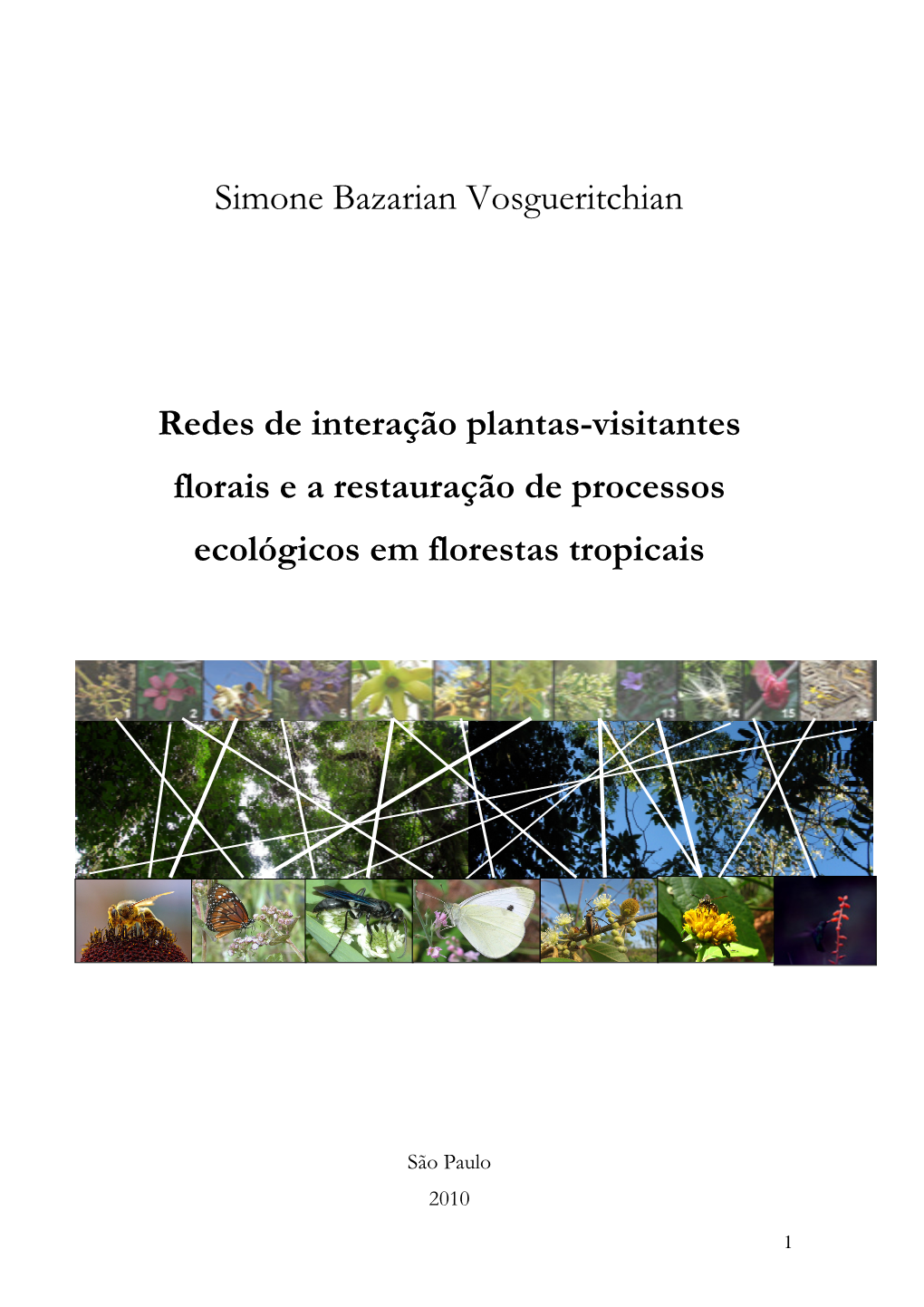 Simone Bazarian Vosgueritchian Redes De Interação Plantas