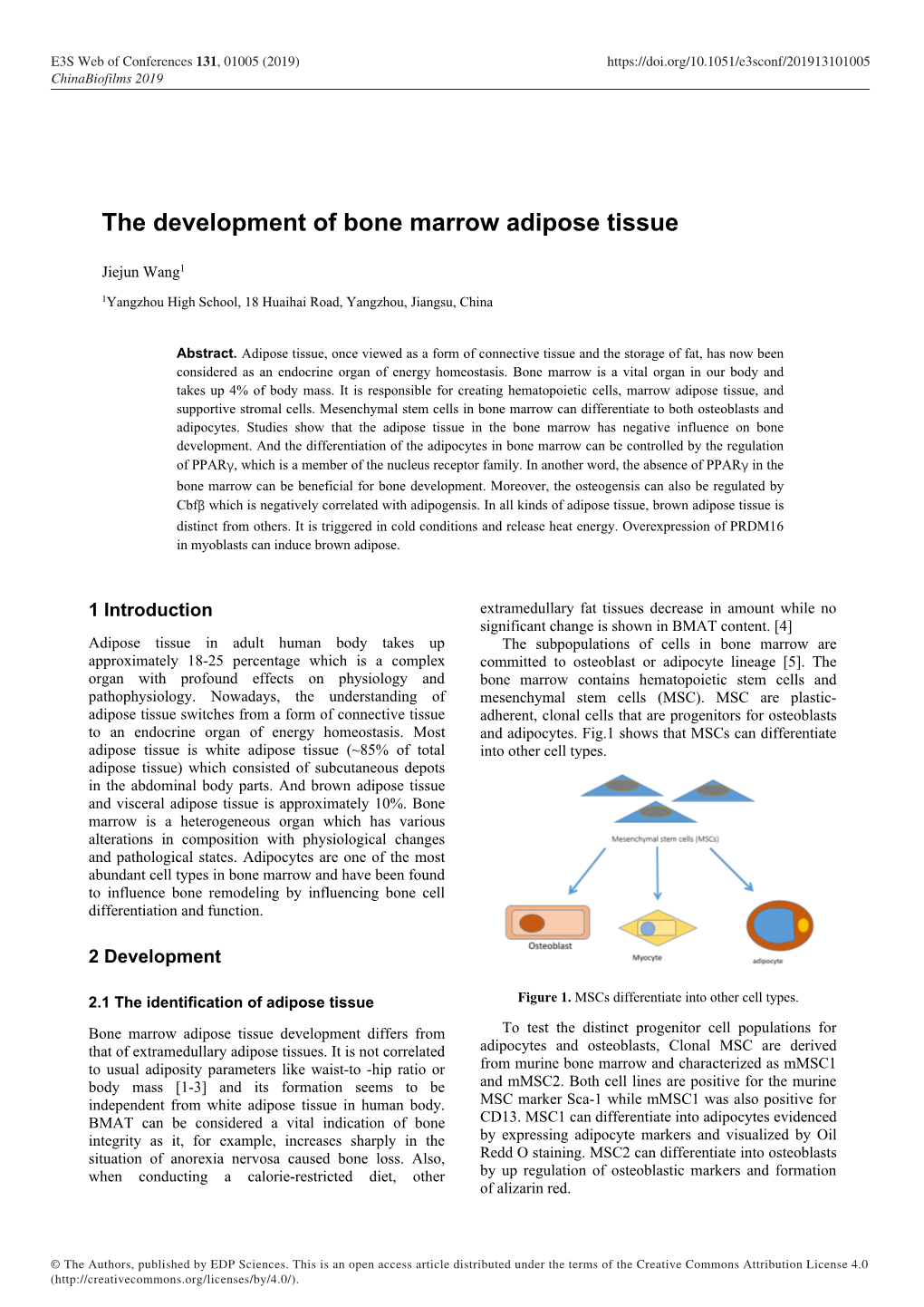 The Development of Bone Marrow Adipose Tissue