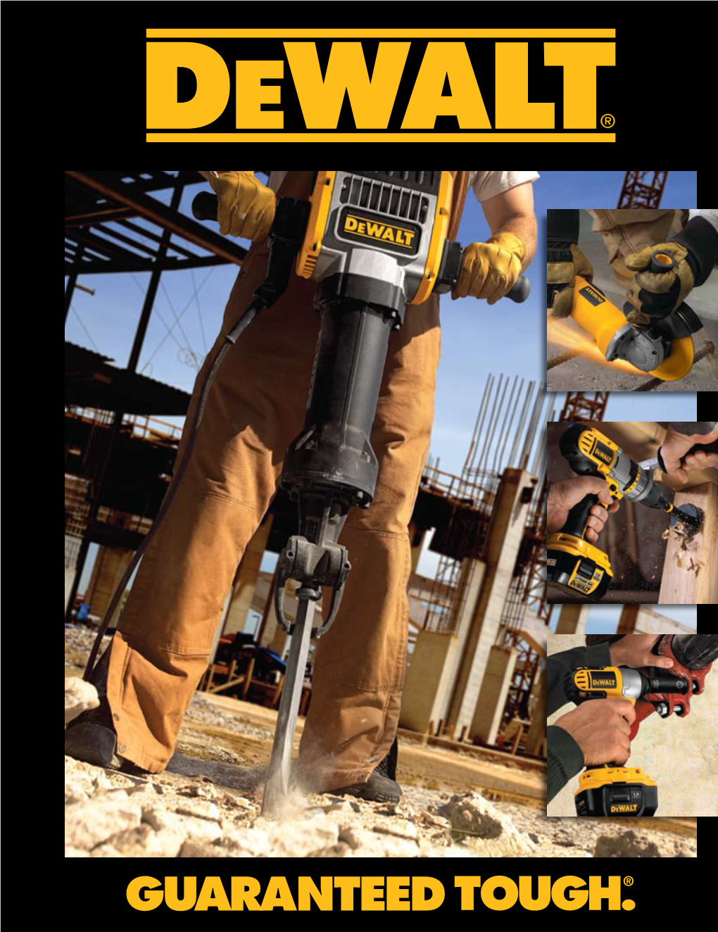 Dewalt 100007933 Catalog.Pdf