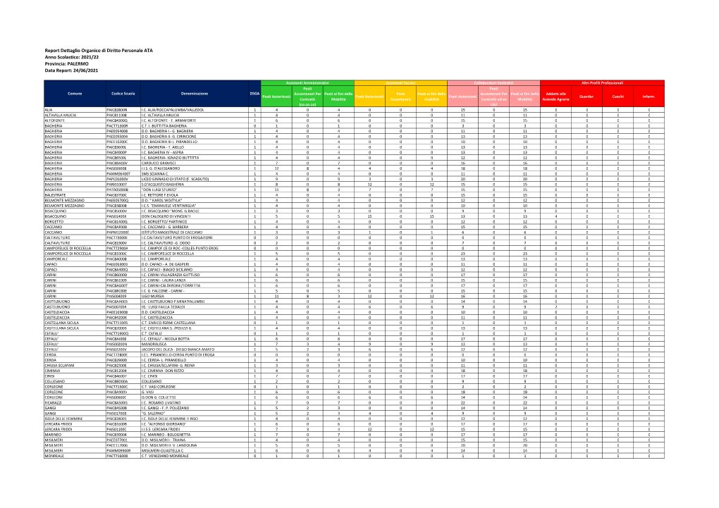 PALERMO Data Report: 24/06/2021