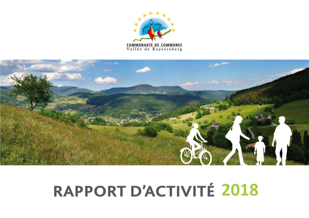 Rapport D'activité 2018