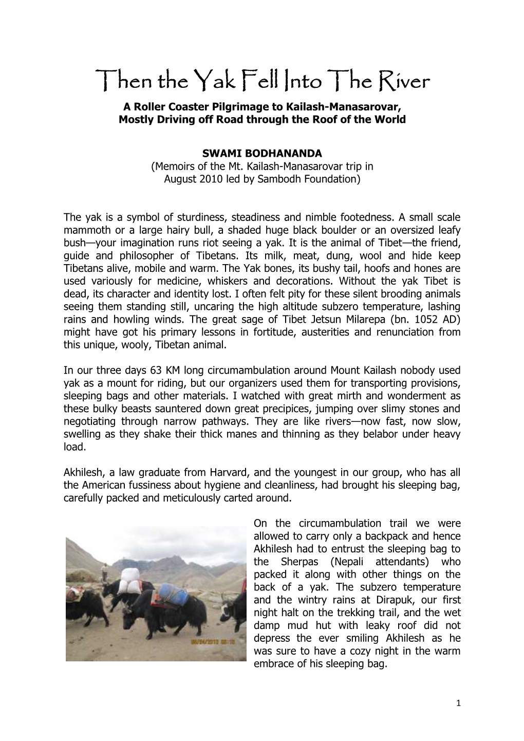 Then the Yak Fell Into the River a Roller Coaster Pilgrimage to Kailash-Manasarovar, Mostly Driving Off Road Through the Roof of the World