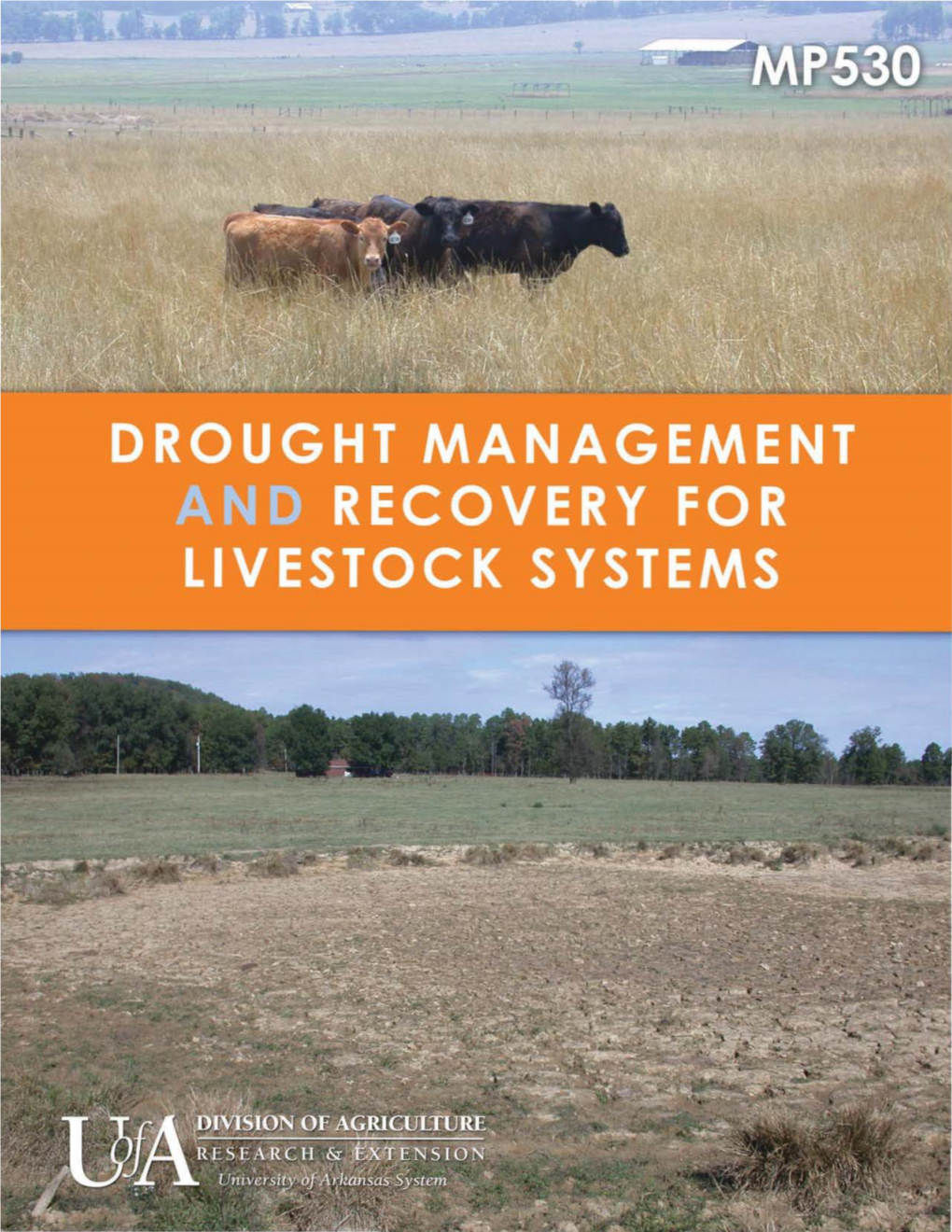 Drought Management and Recovery for Livestock Systems