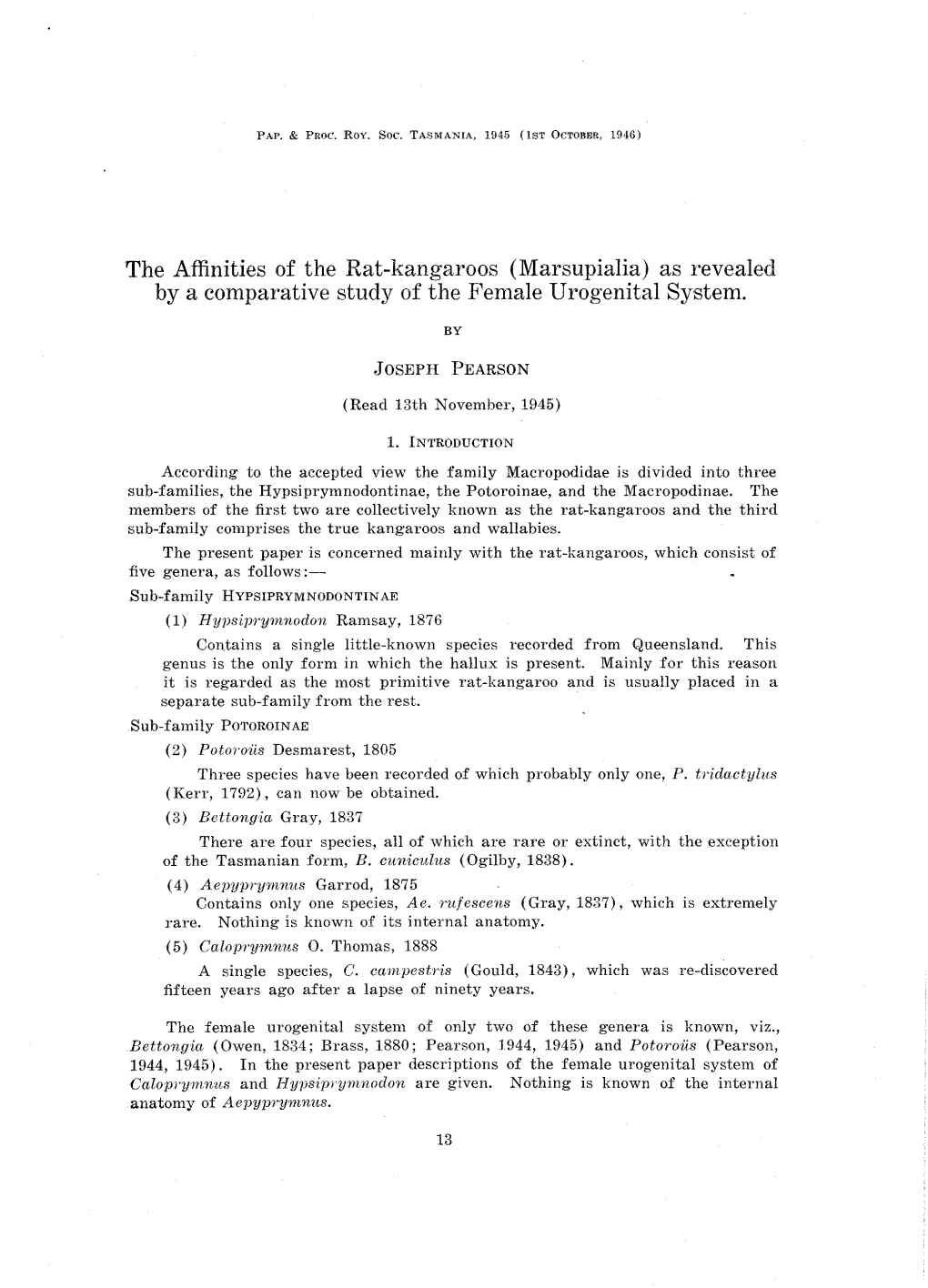 The Affinities of the Rat-Kangaroos (Marsupialia) As Revealed by a Comparative Study of the Female Urogenital System