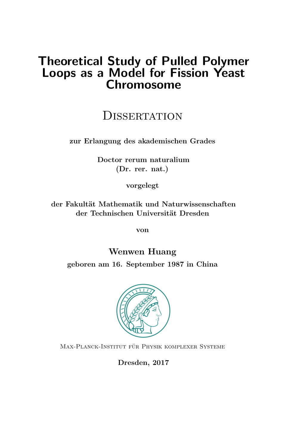 Theoretical Study of Pulled Polymer Loops As a Model for Fission Yeast Chromosome