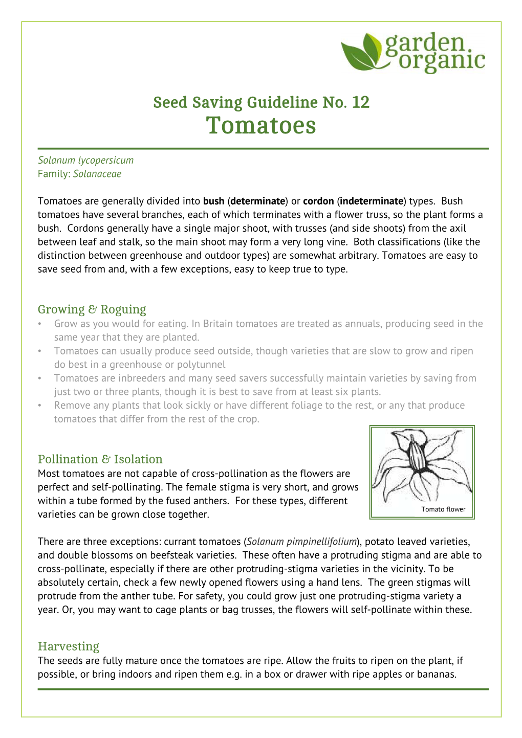 Seed Saving Guideline No. 12 Tomatoes