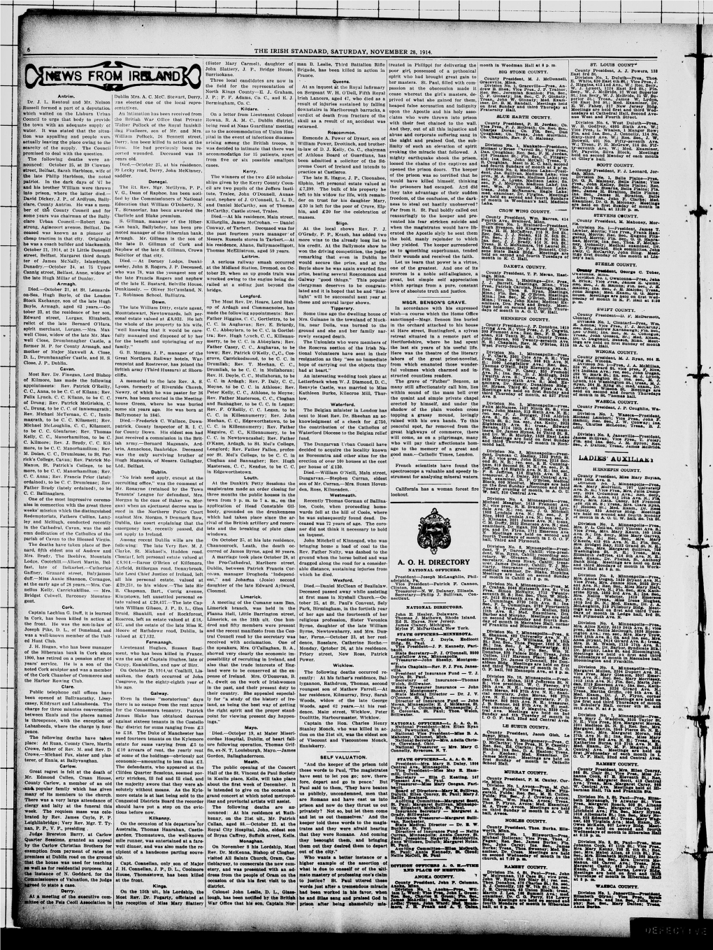 The Irish Standard. (Minneapolis, Minn. ; St. Paul, Minn.), 1914-11