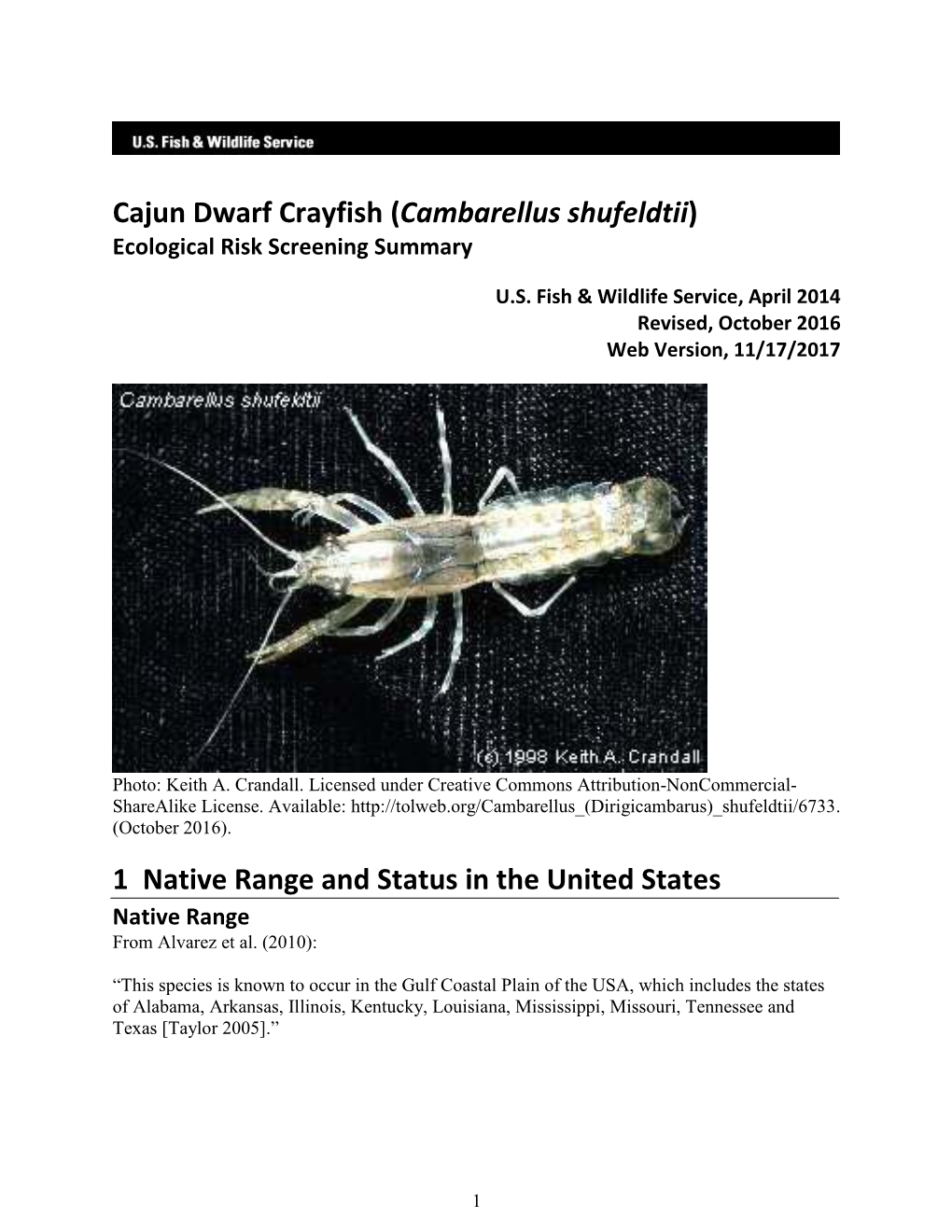 Cambarellus Shufeldtii) Ecological Risk Screening Summary