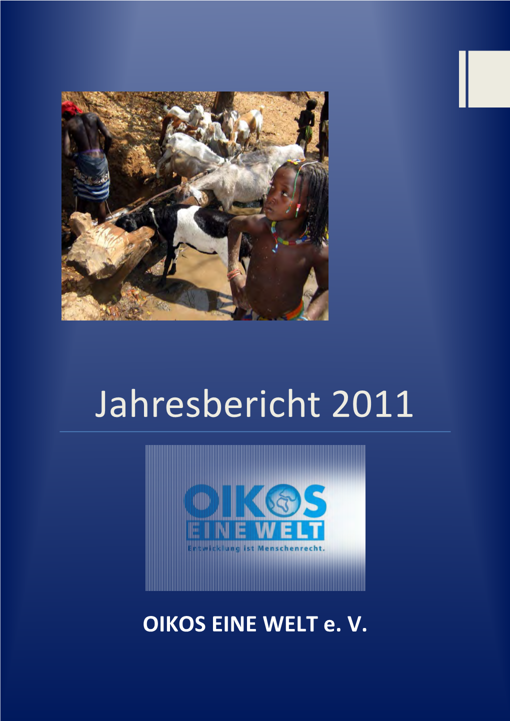 Jahresbericht 2011