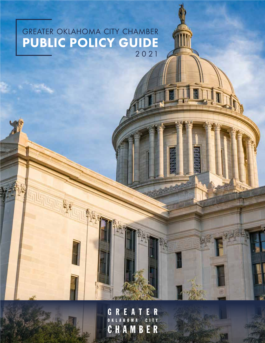 Public Policy Guide 20 21