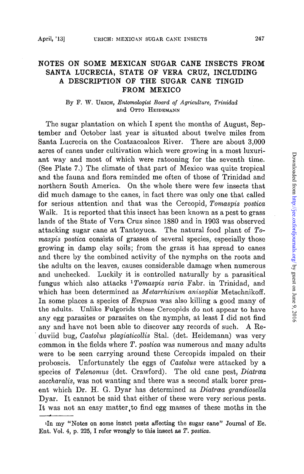 Notes on Some Mexican Sugar Cane Insects from Santa Lucrecia, State of Vera Cruz, Including a Description of the Sugar Cane Tingid from Mexico