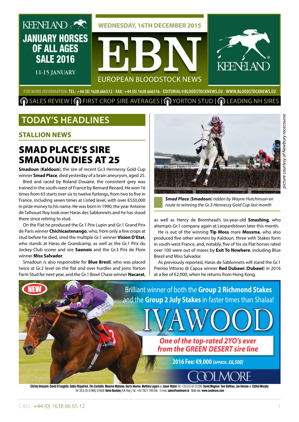 January Horses of All Ages Sale 2016 11-15 January Ebn European Bloodstock News