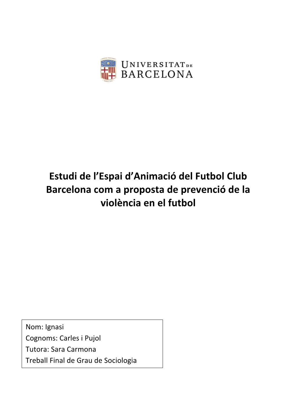 Estudi De L'espai D'animació Del Futbol Club Barcelona Com A