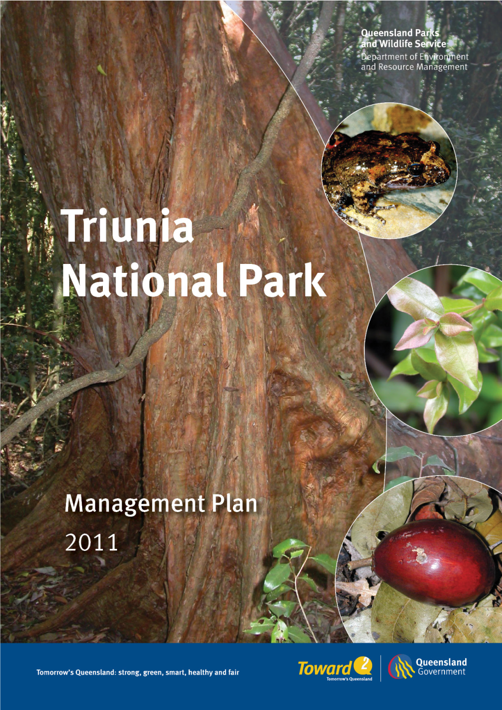 Triunia National Park Management Plan