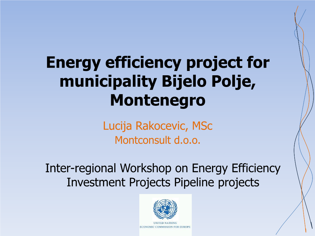 Energy Efficiency Project for Municipality Bijelo Polje, Montenegro