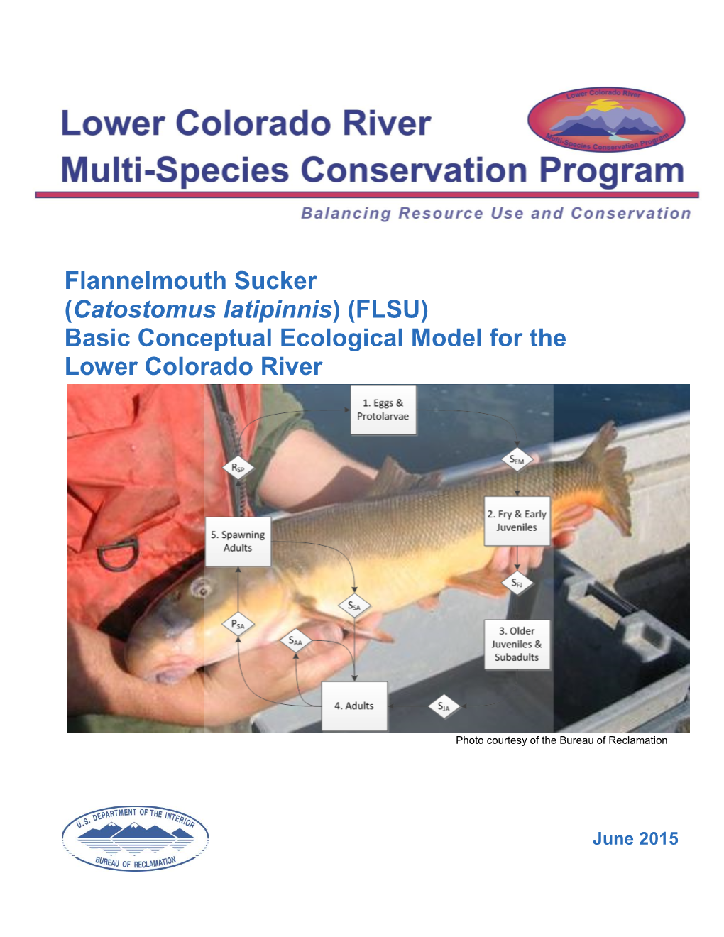 Flannelmouth Sucker (Catostomus Latipinnis) (FLSU) Basic Conceptual Ecological Model for the Lower Colorado River