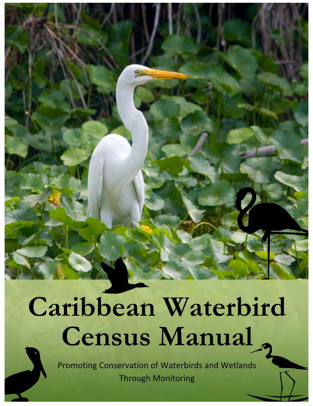 CWC Monitoring Manual