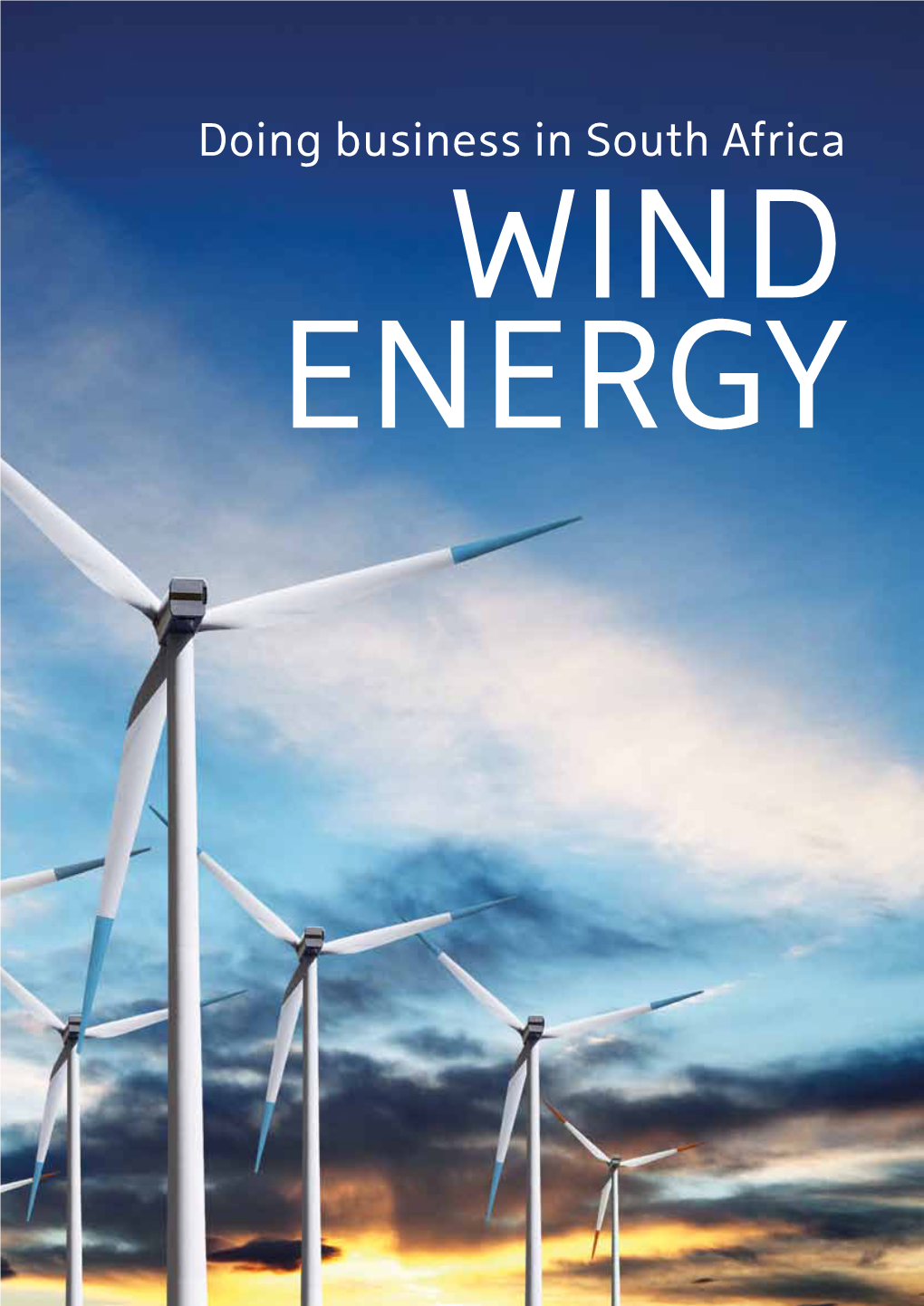 Doing Business in South Africa Wind Energy FOREWORD