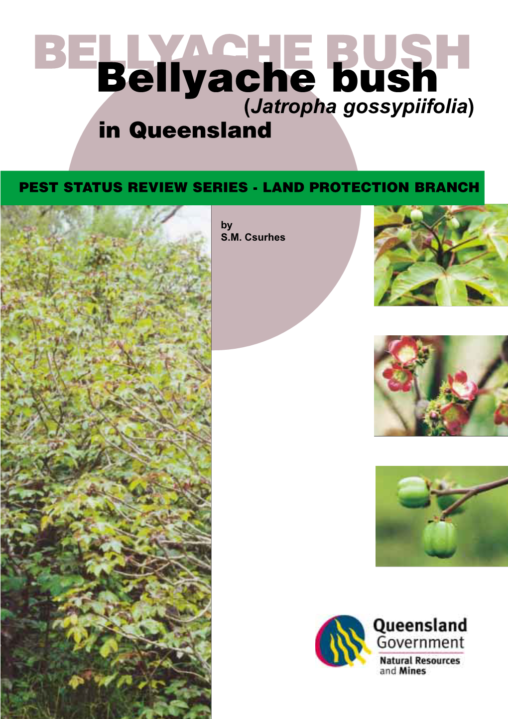 Bellyache Bush in Queensland (Total Expenditure to Date)