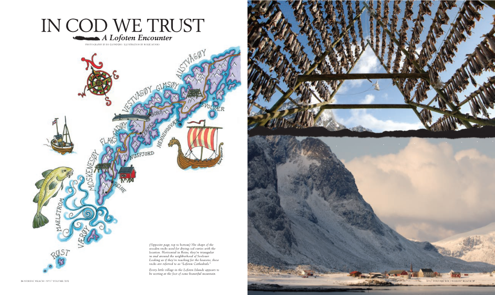 IN COD WE TRUST a Lofoten Encounter PHOTOGRAPHY by BO ZAUNDERS / ILLUSTRATION by ROXIE MUNRO