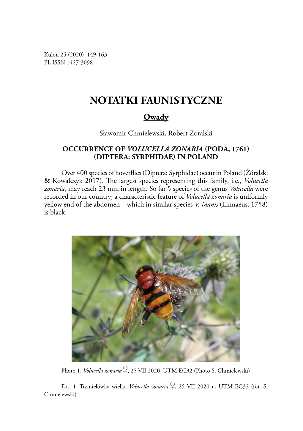 NOTATKI FAUNISTYCZNE Owady