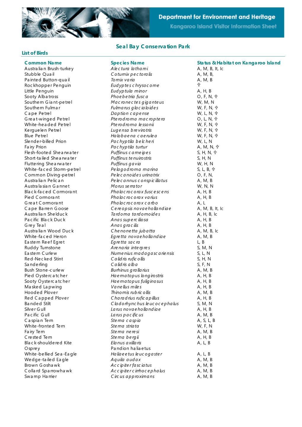 Seal Bay Conservation Park List of Birds