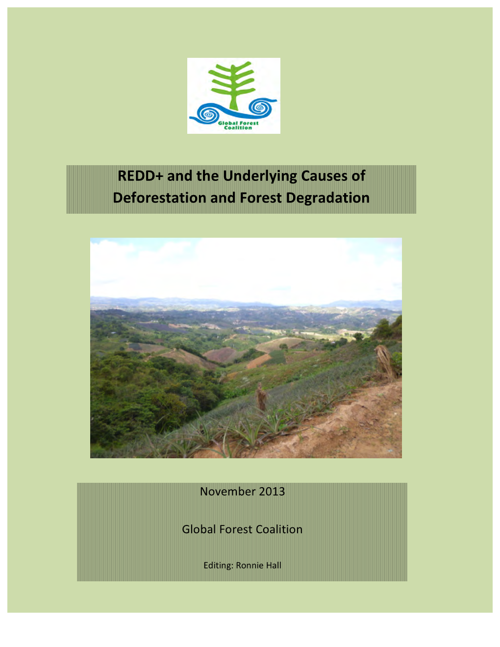 REDD+ and the Underlying Causes of Deforestation and Forest Degradation