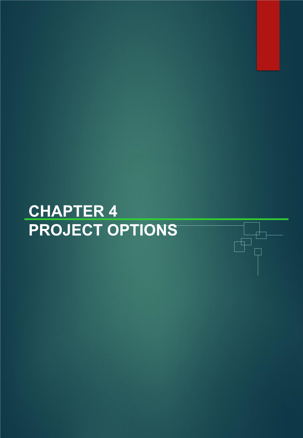 Chapter 4 Project Options