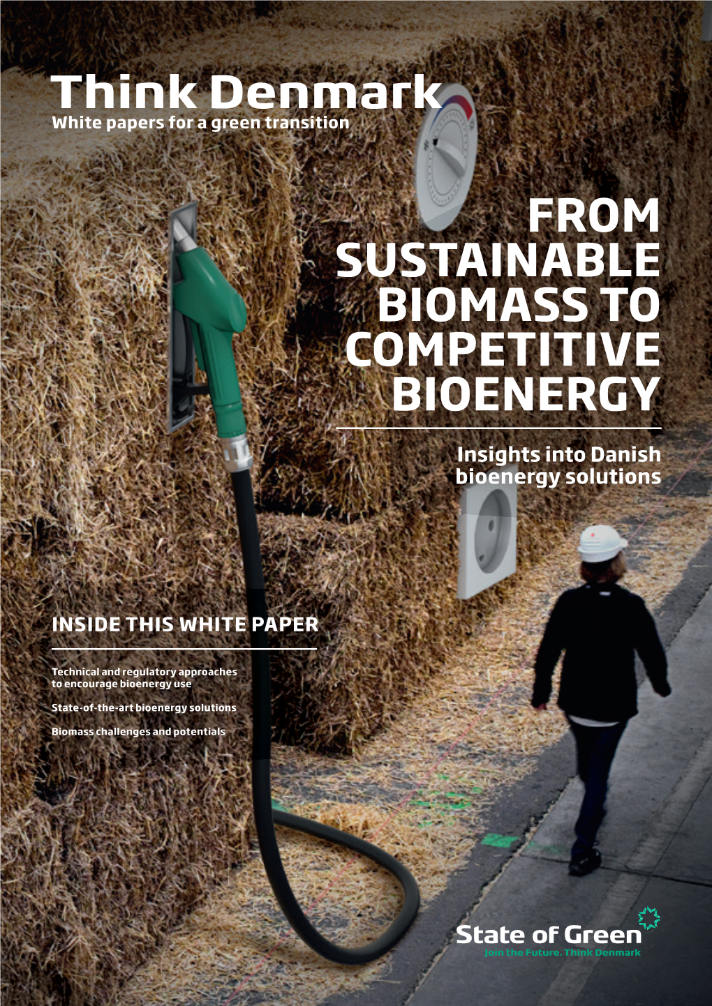 From Sustainable Biomass to Competitive Bioenergy