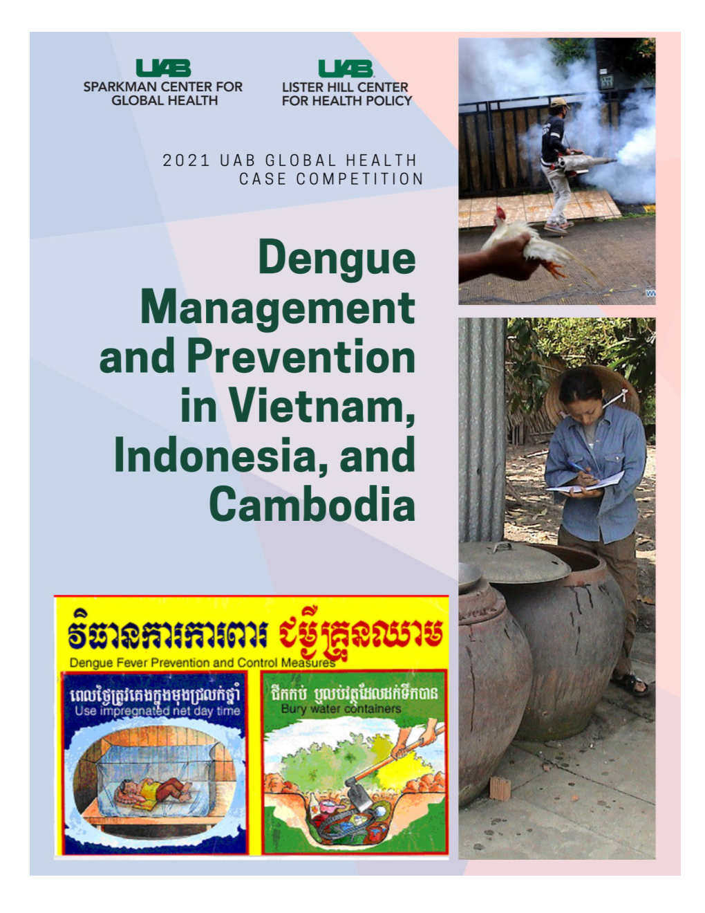 Dengue Management and Prevention in Vietnam, Indonesia And